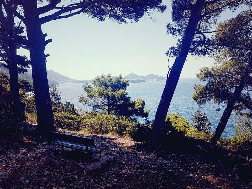 Hanas Dream Places 扎通 外观 照片