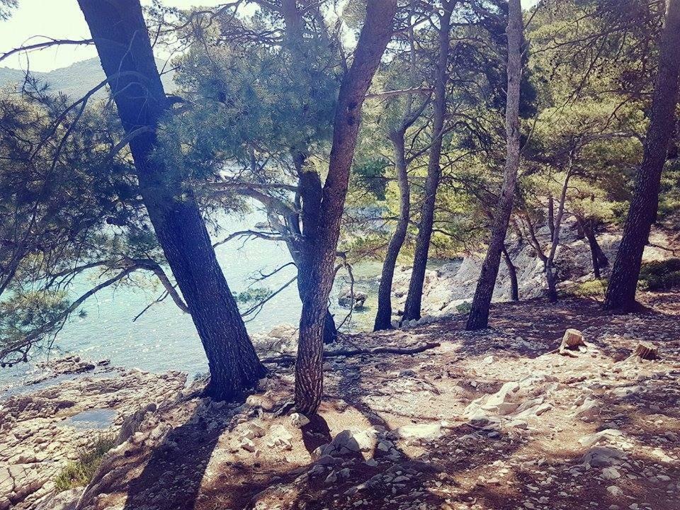 Hanas Dream Places 扎通 外观 照片
